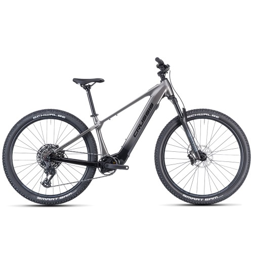 Električno kolo CRUSSIS ONE-FIONNA AX 9.12-M2 800 Wh