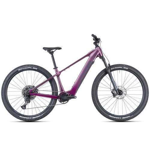 Električno kolo CRUSSIS E-FIONNA AX 9.12-M2 800 Wh