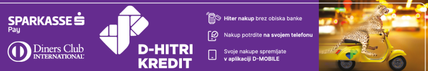 Saprkasse Pay D-hitri kredit